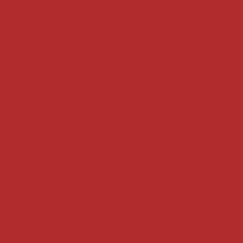 ADT - LOGO - SNAPBACK HAT - RED Design